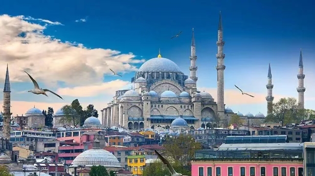 从海关数据看，土耳其进口中国最多的产品有哪些？